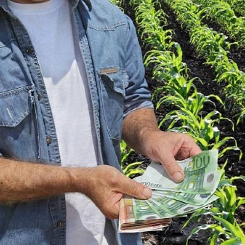 Premierul Marcel Ciolacu sprijină fermierii români prin măsuri esențiale