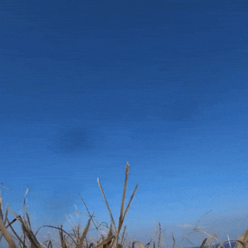 Forțele Aeriene ale Coreei de Sud au efectuat un exercițiu cu rachete Taurus