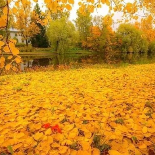 Prognoza meteorologică pentru 14 octombrie - 11 noiembrie