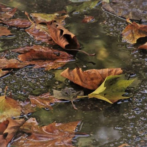 Vremea se răcește începând cu 12 octombrie