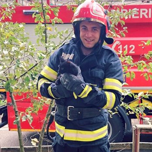 O pisicuță neagră salvată dintr-o fântână dezafectată de pompierii din Geoagiu