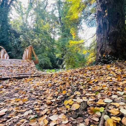 Vremea în Alba, în săptămâna 14-20 octombrie