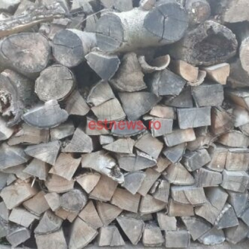 Guvernul României oferă lemn de foc pentru persoanele afectate de inundații