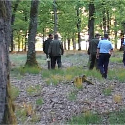Un bărbat găsit mort într-o pădure din județul Botoșani