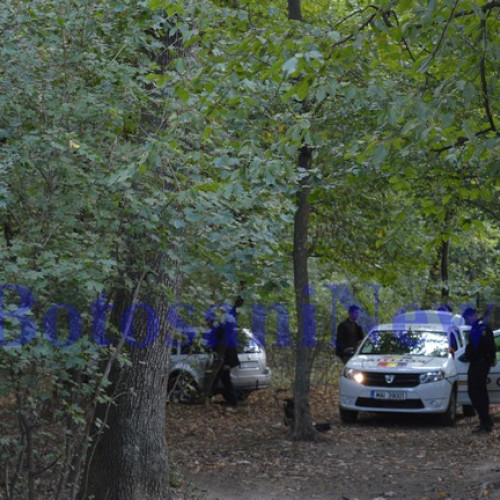 Descoperire macabră în pădurea din Botoșani: un bărbat mort găsit de o culegătoare de ciuperci