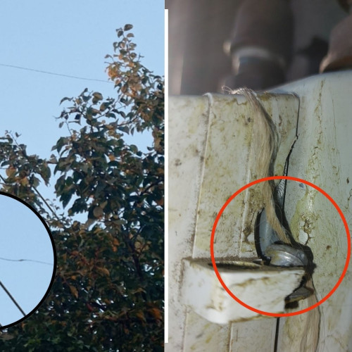 88 de botosaneni, cercetați pentru consum fraudulos de energie electrică