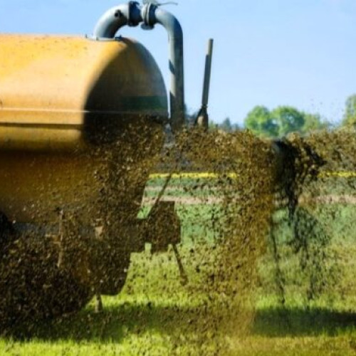 Mirosurile neplăcute din Vrancea generează nemulțumiri și amenzi