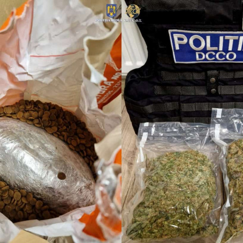 Bărbat arestat pentru trafic de droguri, cu 800 de grame de canabis descoperite într-un colet din Spania