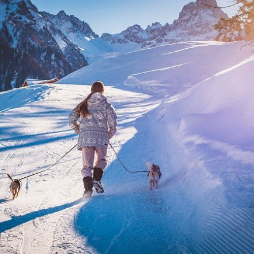 Anul 2025 aduce noi zile libere pentru bugetari