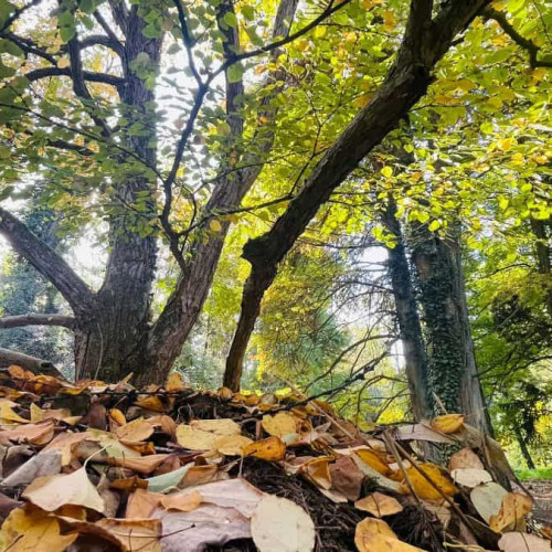 Vremea până pe 11 noiembrie: Temperaturile vor scădea