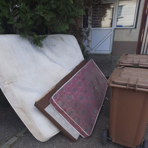 Colectare gratuită de biodeseuri și deșeuri voluminoase în Arad