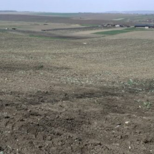 Creșterea numărului de oferte de vânzare a terenurilor agricole în județul Vaslui
