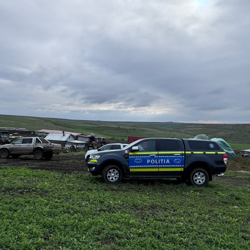 Activități de prevenire a abuzurilor asupra animalelor în Botoșani