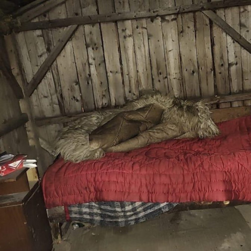 Percheziții în județele Covasna și Brașov pentru trafic de persoane