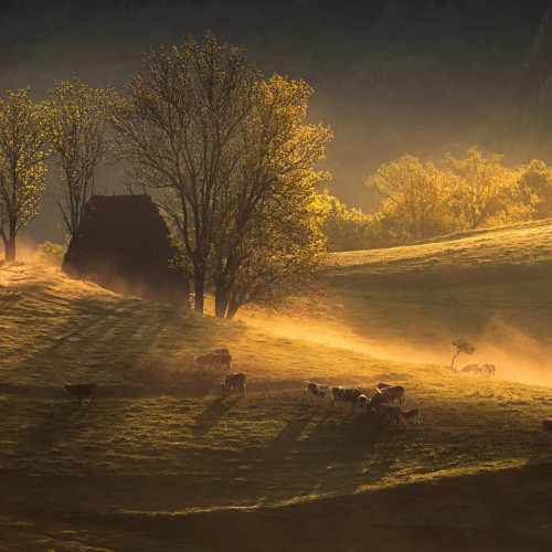 Premiul I la Salonul Național de Fotografie Fotogeografică 2024 câștigat de un tânăr din Alba