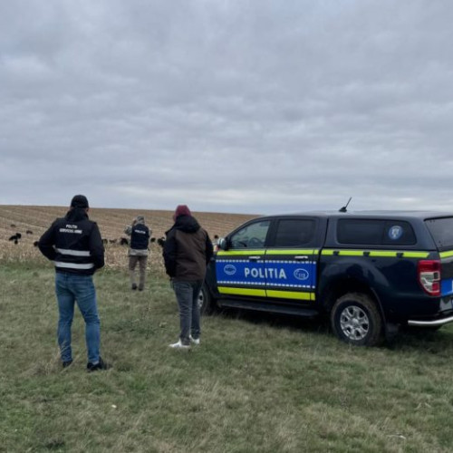 Acțiune a poliției pentru protecția animalelor în Botoșani și Darabani