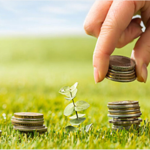 APIA a autorizat plăți în avans pentru fermieri în campania din 2024