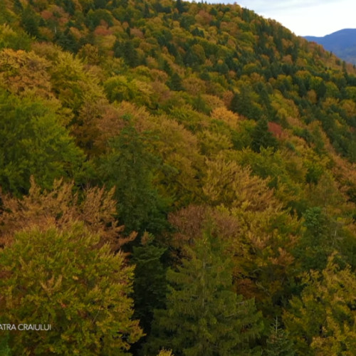 Imagini spectaculoase de toamnă surprinse în Parcul Național Piatra Craiului
