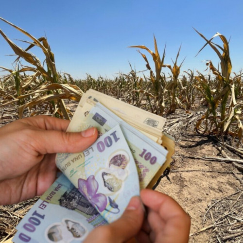Fermierii din Galați pot solicita ajutoare de stat pentru pagubele cauzate de secetă