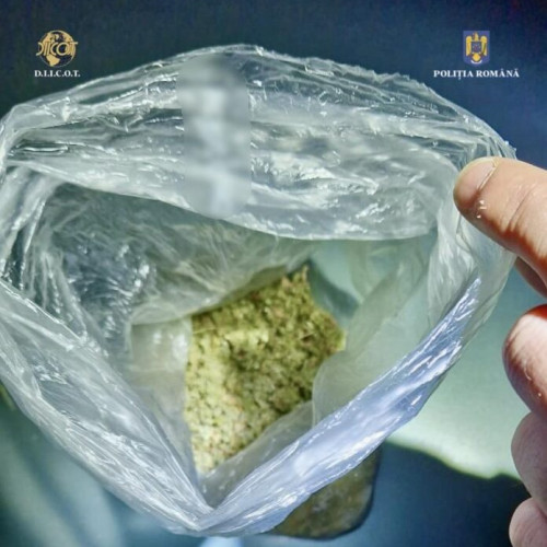 Percheziții în județul Bacău pentru combaterea traficului de substanțe psihoactive