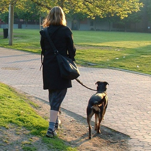 sfaturi pentru pietonii care doresc să ardă mai multe calorii