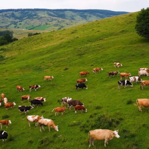 Cooperativa Agricola Bio Carpathia a realizat investiții de peste 23 milioane de euro