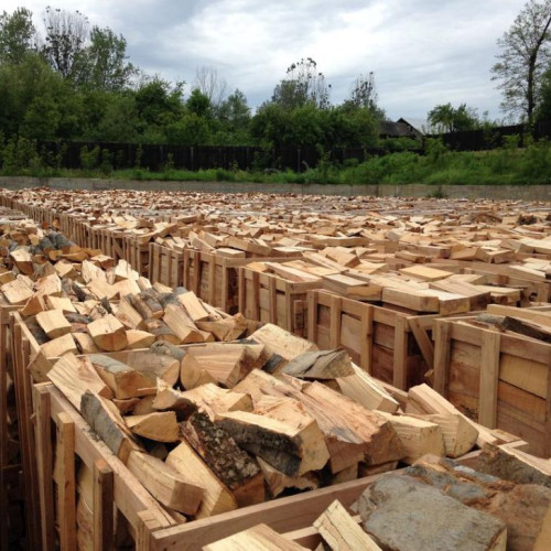 Brașovenii au asigurat lemnul de foc pentru iarnă