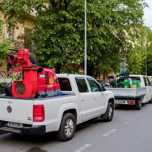 Acțiune de combatere a insectelor în Cluj-Napoca