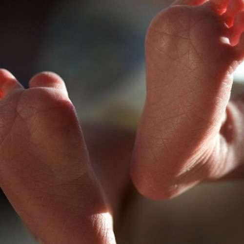 Procurorii din Turcia solicită pedepse de sute de ani pentru liderii unei grupări acuzate de moartea nou-născuților