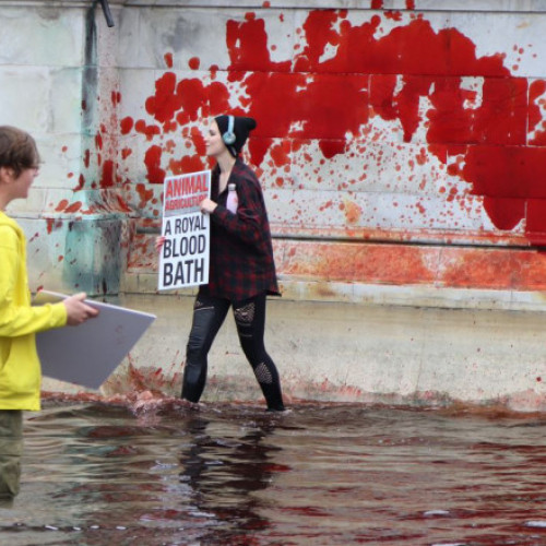 Cinci activiști condamnați pentru vandalizarea fântânii de la Palatul Buckingham