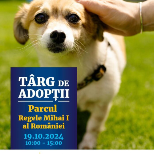 Târg de adopții de câini în Parcul Regele Mihai I al României