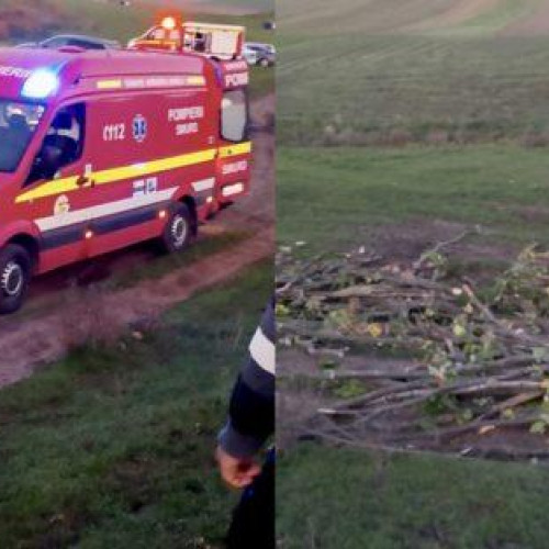 Salvare dramatică a unui bărbat prins sub o căruță cu lemne