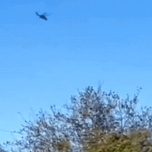 Militarii ucraineni doboară dronele rusești cu elicopterele Mi-24