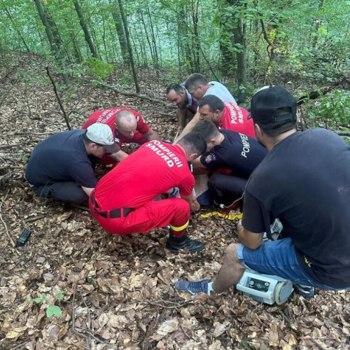 Un bărbat de 32 de ani rănit grav de un copac căzut în pădurea din Someșu Cald