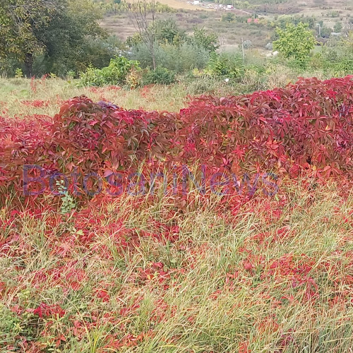 Prognoza meteo: Vreme caldă la început, dar răcire treptată în Moldova