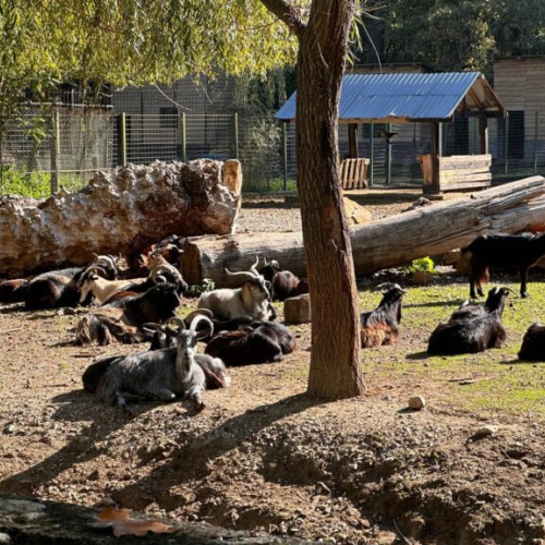 Reabilitarea Grădinii Zoologice din Pitești a fost finalizată