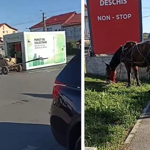 Reciclarea devine o meserie în comuna Florești din județul Cluj