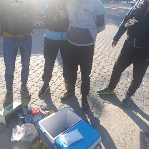 Percheziții și arestări în Mehedinți pentru trafic de droguri