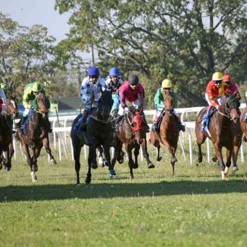 Hipodromul Ploiești a gazduit o nouă reuniune hipică oficială