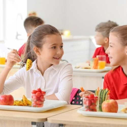 Proiectul de educație nutrițională pentru școli, în curs de elaborare