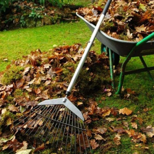 Colectarea gratuită a deșeurilor vegetale în Râșnov