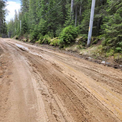 Investitorii din zona Sureanu cer repararea drumului de acces