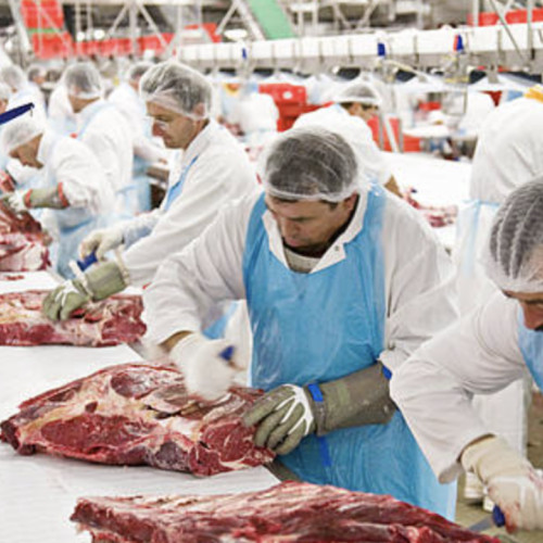 Crescătorii de animale se confruntă cu o criză a efectivelor de bovine