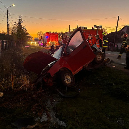 Accident rutier între Livada și Ciuperceni, două victime transportate la spital