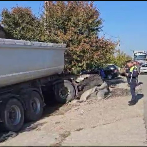 Accident rutier în Sardanesti soldat cu o victimă