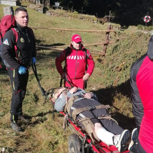 Salvatorii montani din Maramureș intervin pentru o femeie mușcată de un câine vagabond