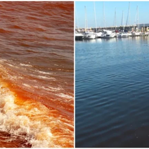 Marea Neagră capătă nuanțe roșiatice: specialiștii explică fenomenul