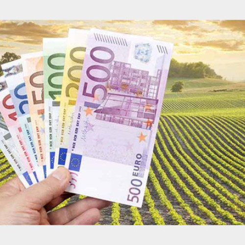 APIA a autorizat plăți de peste 172 milioane de euro pentru fermieri