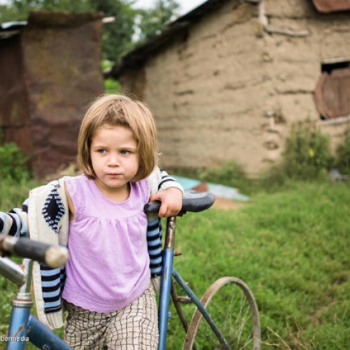 Guvernul va aproba tichete sociale de 500 de lei pentru copii din medii defavorizate