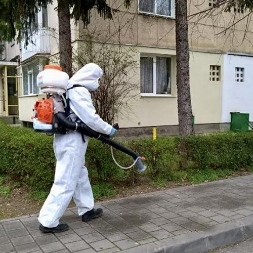 Stropiri în Pitești: Zonele unde se vor desfășura tratamentele fitosanitare